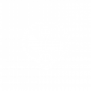 VS_LOGO_ISOTIYPE_FA-08